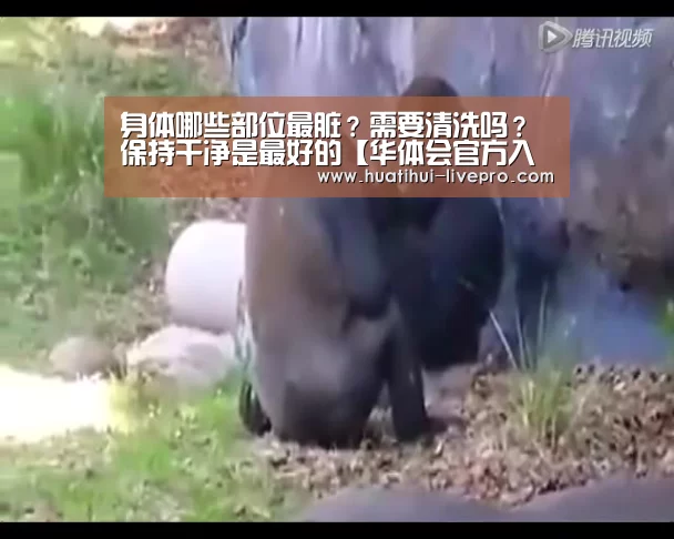 身体哪些部位最脏?需要清洗吗?保持干净是最好的【华体会官方入口】(图1) 华体会APP下载