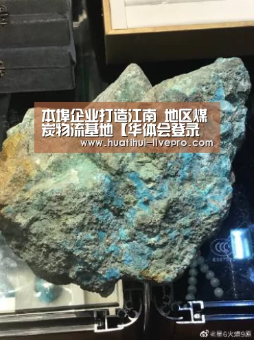 华体会APP下载