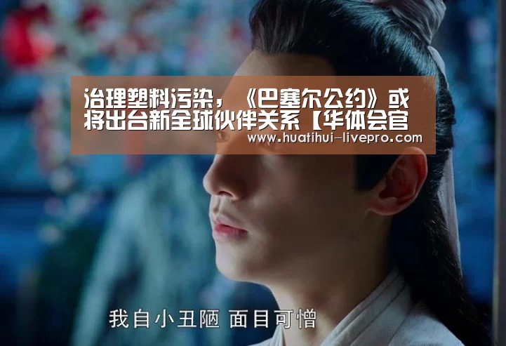 治理塑料污染,《巴塞尔公约》或将出台新全球伙伴关系【华体会官方入口】(图2) 华体会官方入口