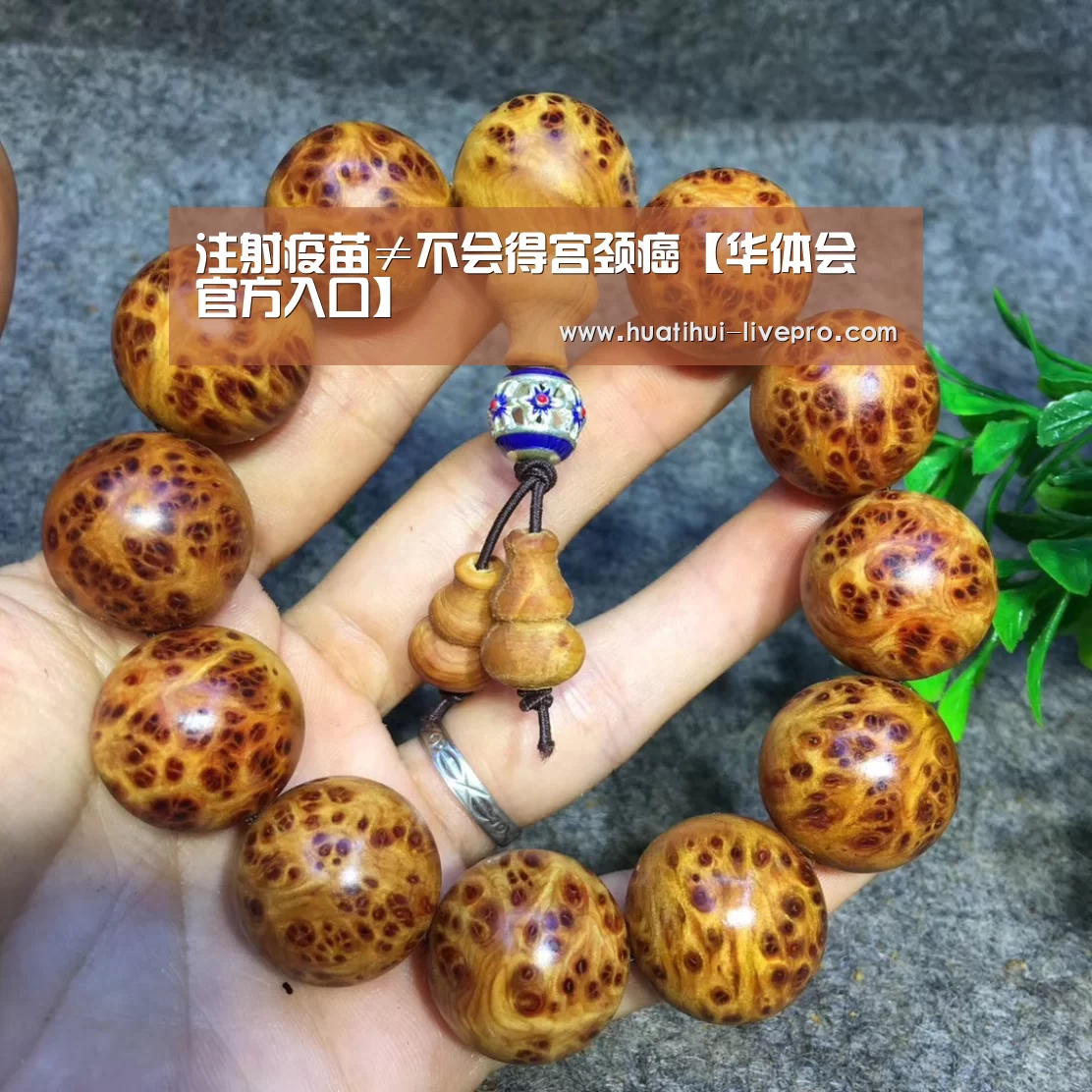 注射疫苗≠不会得宫颈癌【华体会官方入口】(图1) 华体会登录入口