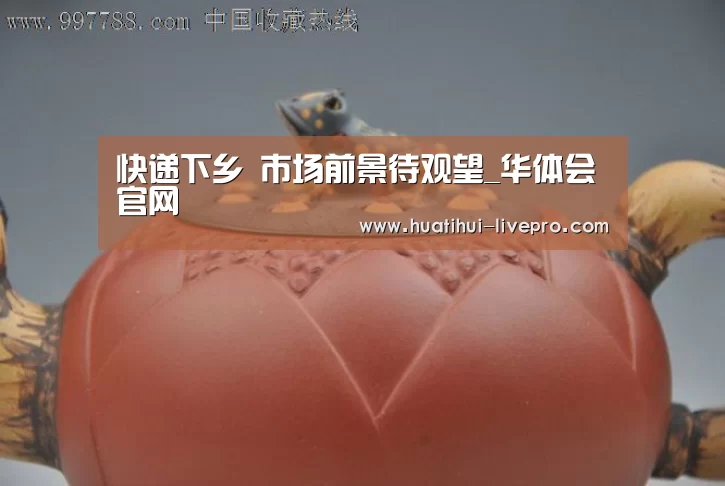 快递下乡 市场前景待观望_华体会官网(图3) 华体会登录入口